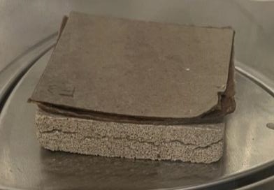 A paper-faced gypsum specimen after full submersion in water