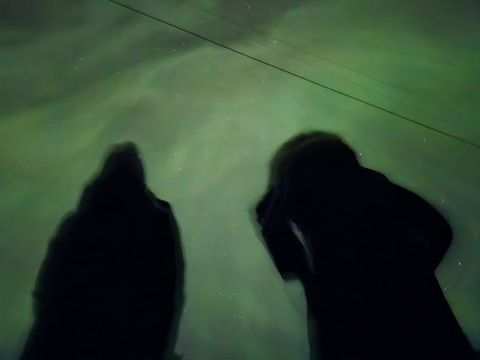 Two team members silhouetted beneath the northern lights