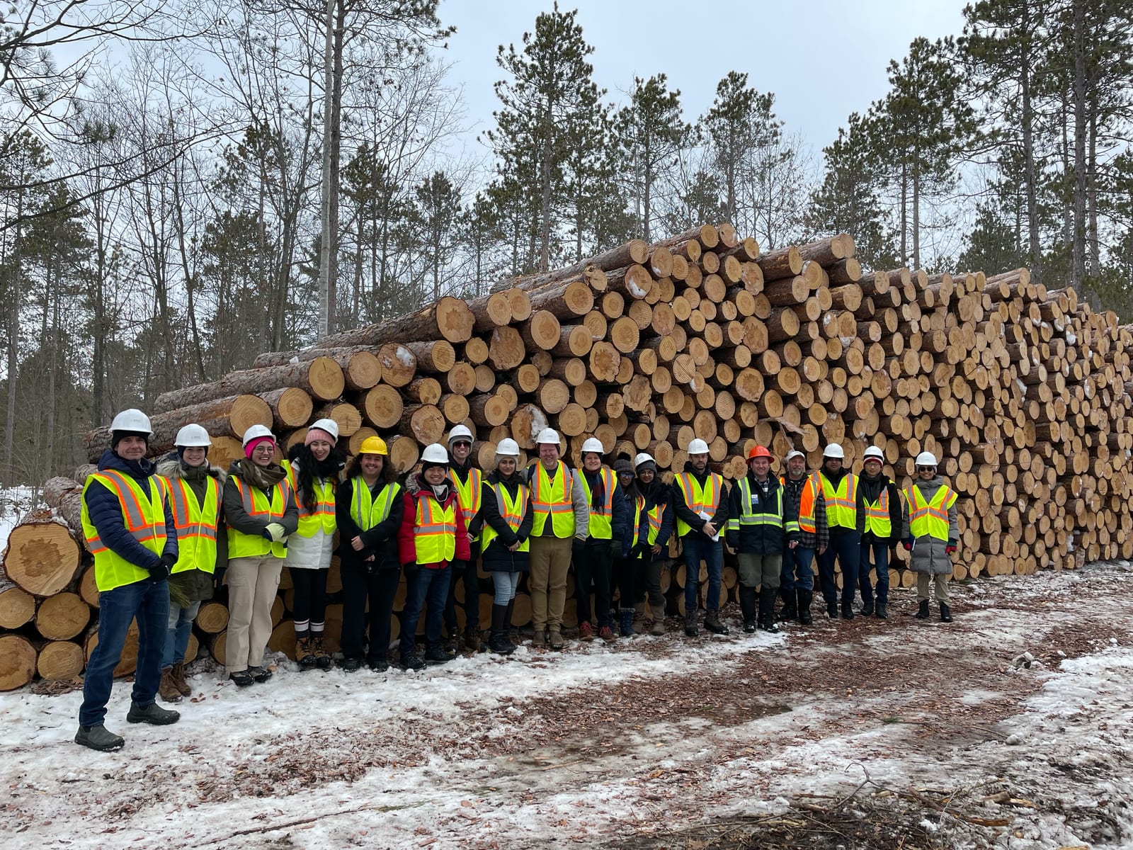 A group in safety gear during a forestry site visit